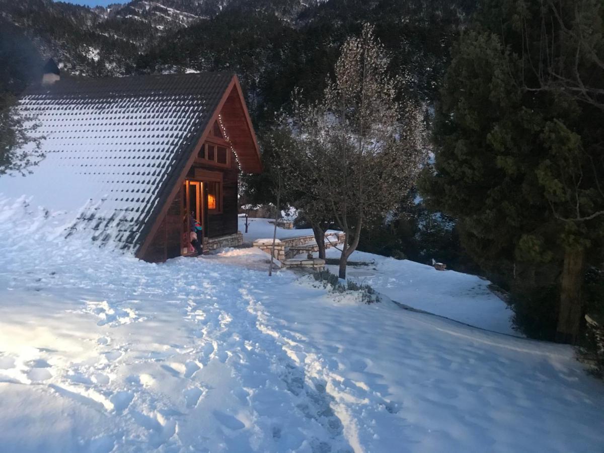 Chalet In The Forest Kalavryta Esterno foto
