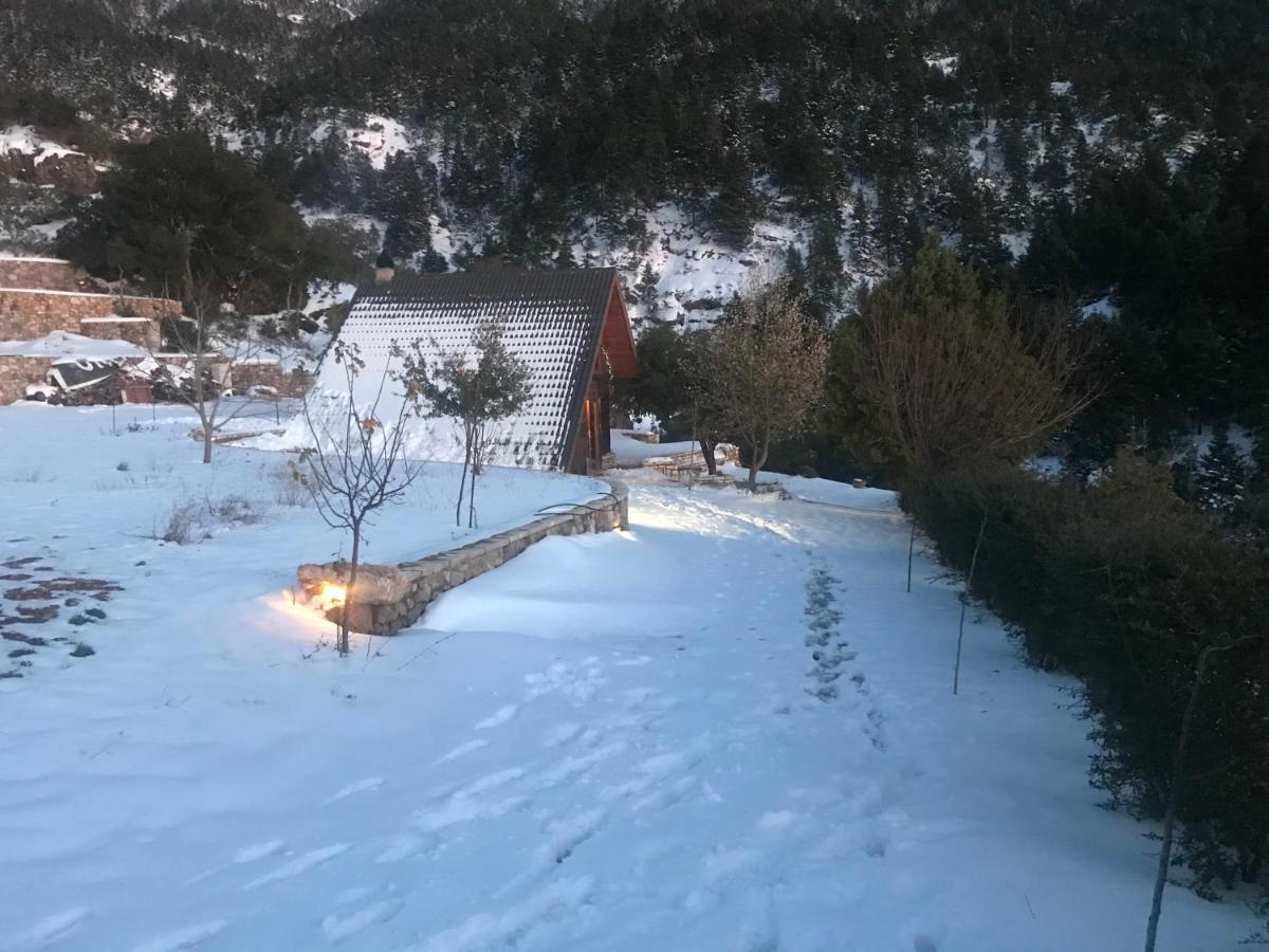 Chalet In The Forest Kalavryta Esterno foto