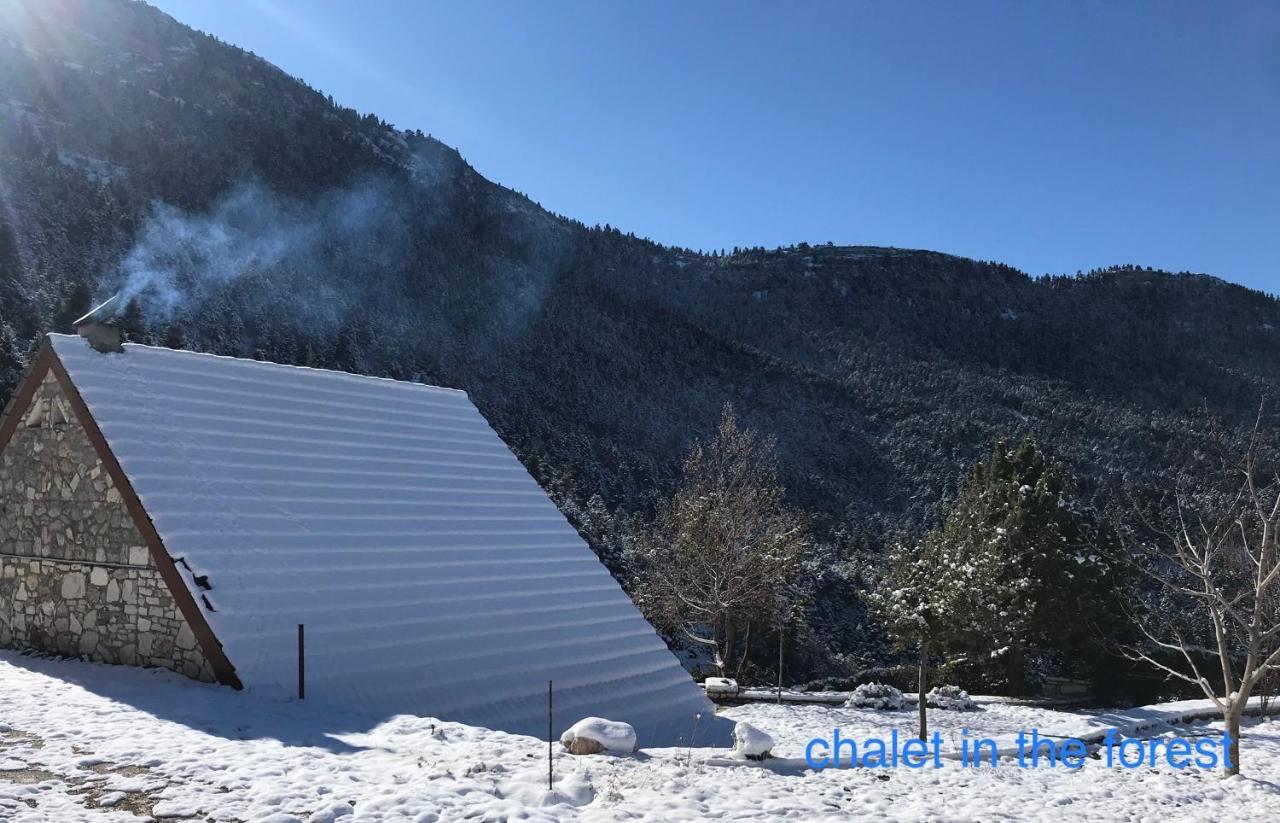 Chalet In The Forest Kalavryta Esterno foto