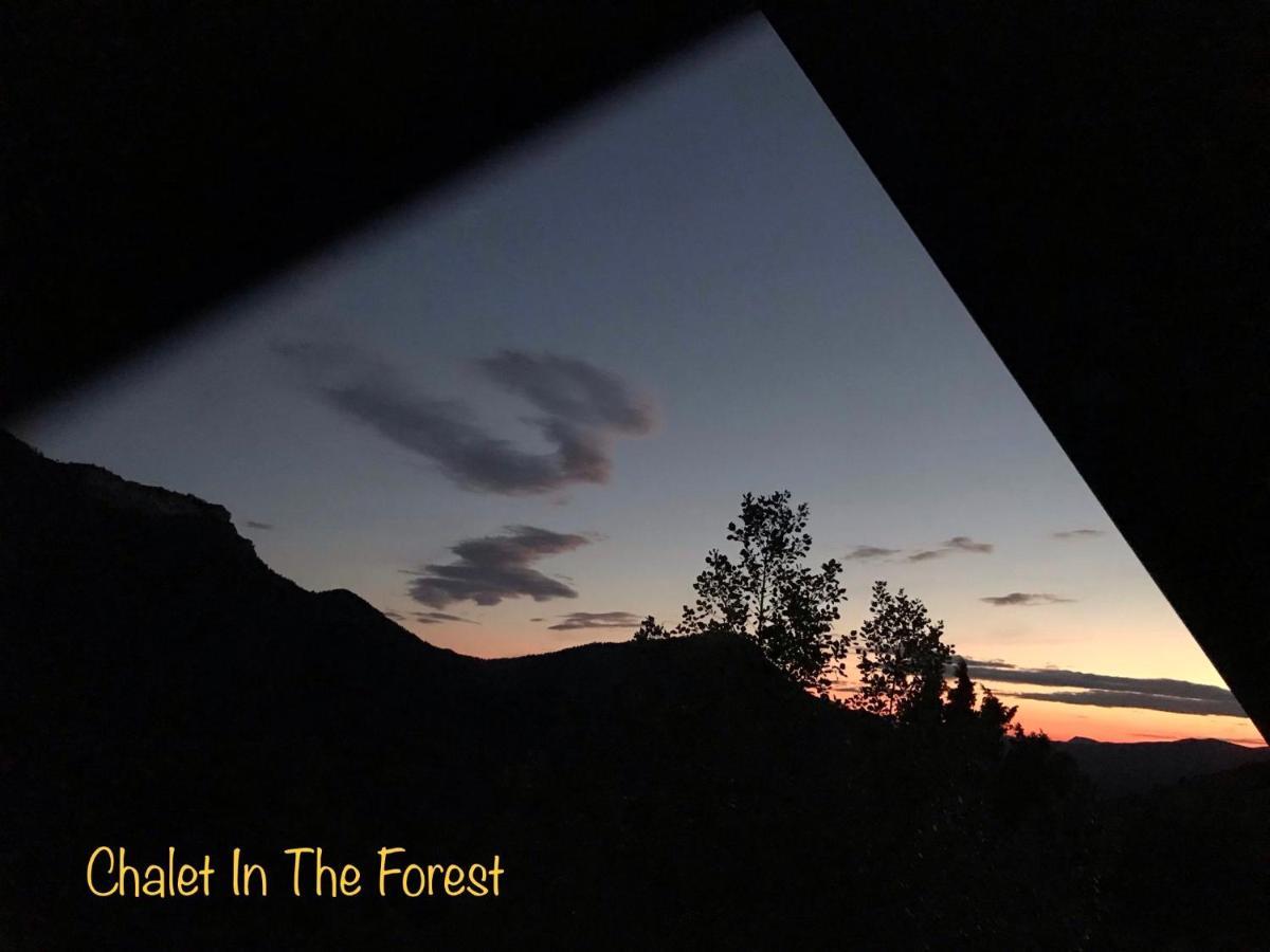 Chalet In The Forest Kalavryta Esterno foto