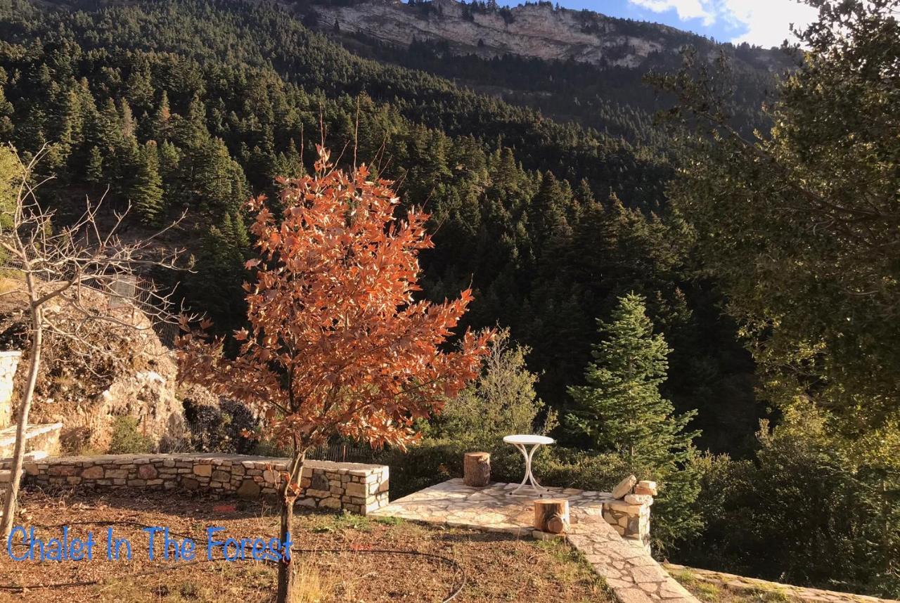 Chalet In The Forest Kalavryta Esterno foto