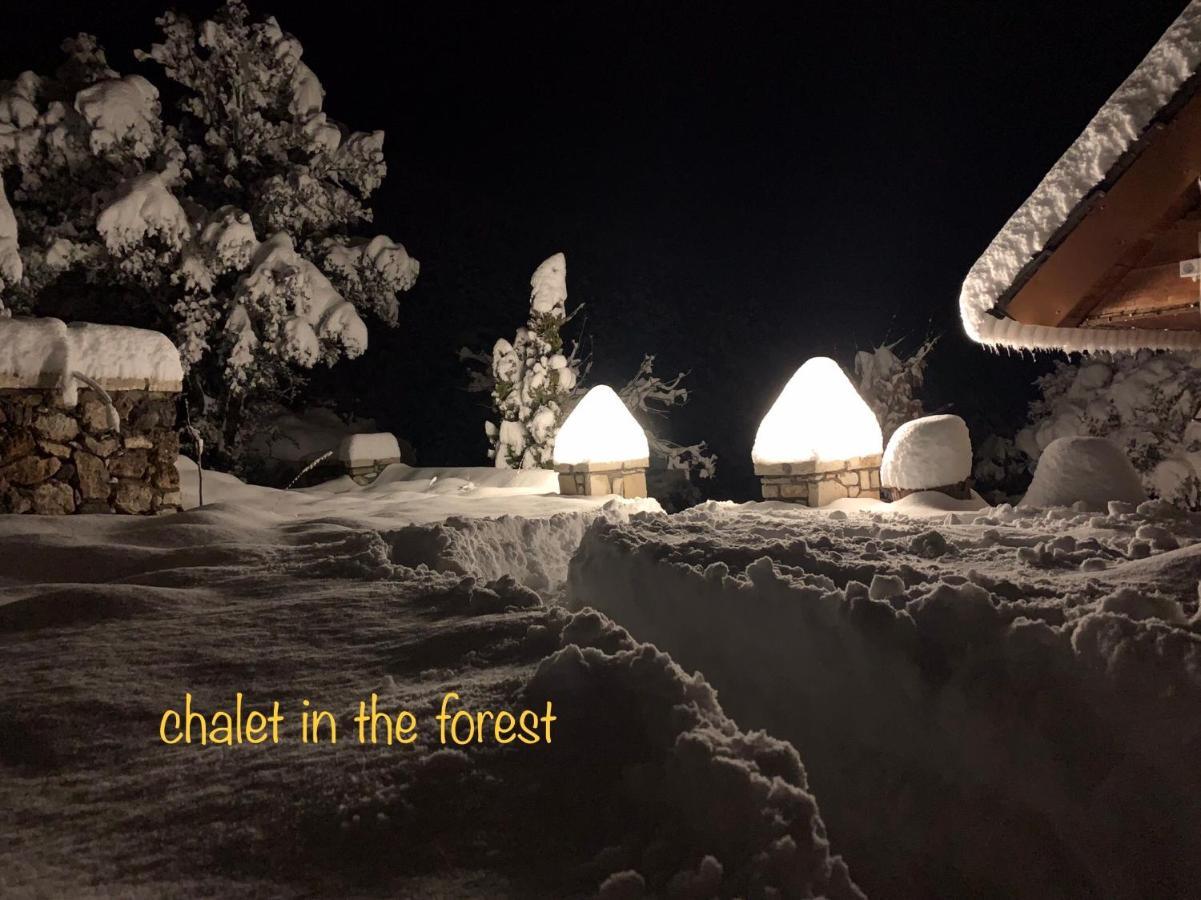 Chalet In The Forest Kalavryta Esterno foto