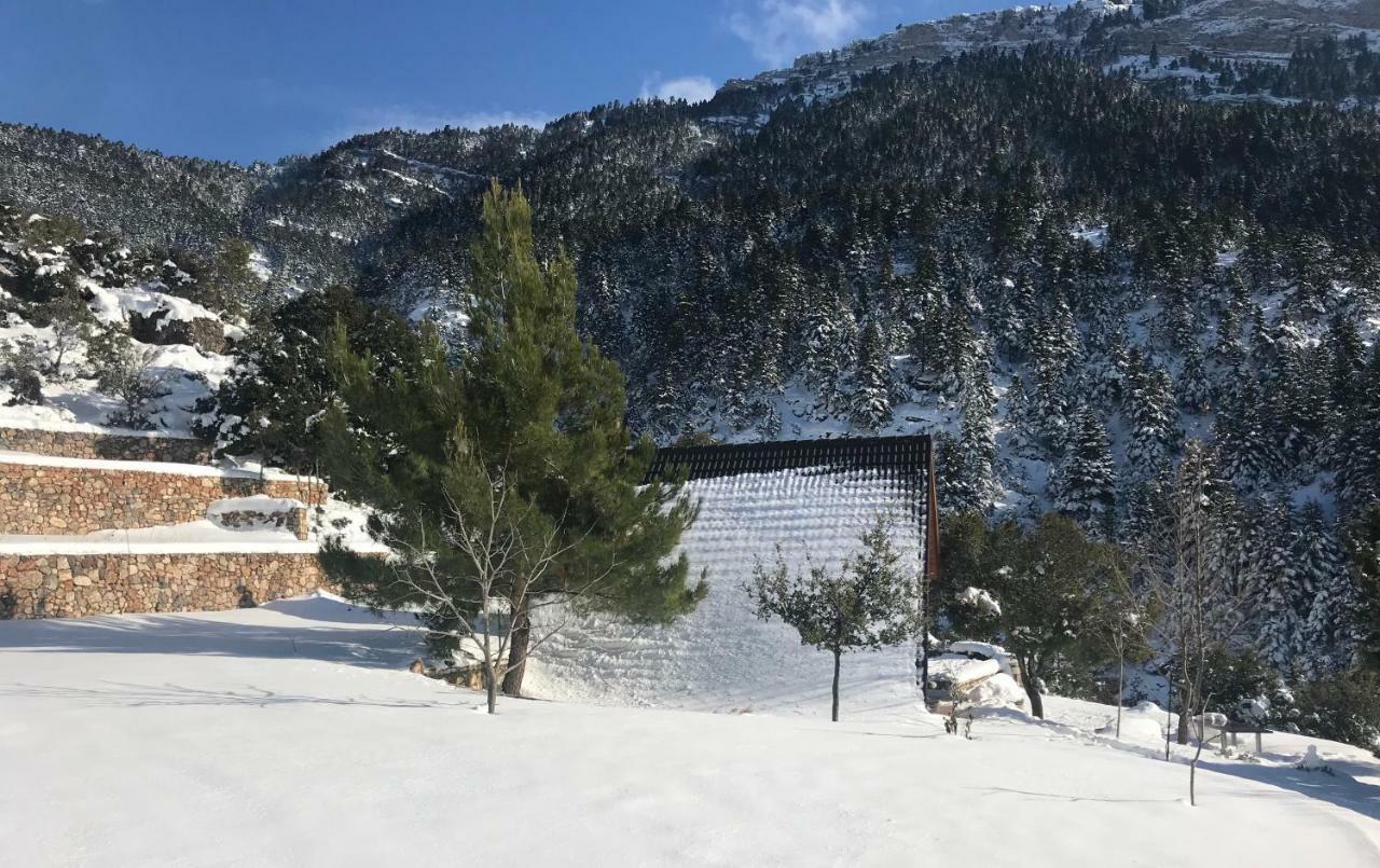 Chalet In The Forest Kalavryta Esterno foto