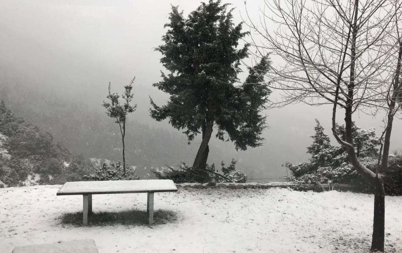 Chalet In The Forest Kalavryta Esterno foto