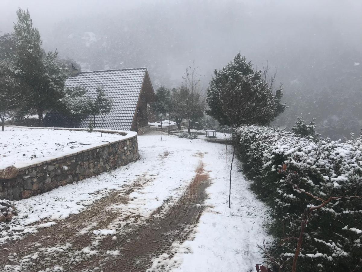 Chalet In The Forest Kalavryta Esterno foto