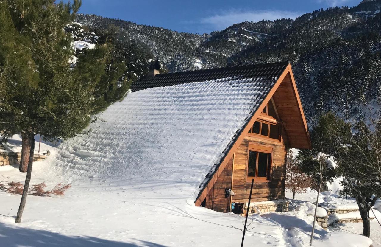 Chalet In The Forest Kalavryta Esterno foto