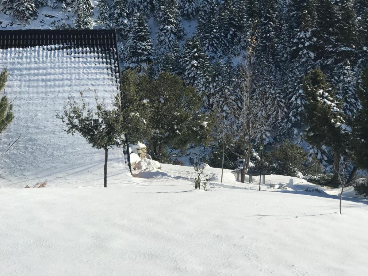 Chalet In The Forest Kalavryta Esterno foto